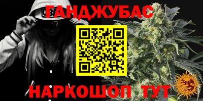 гашик Гусиноозёрск