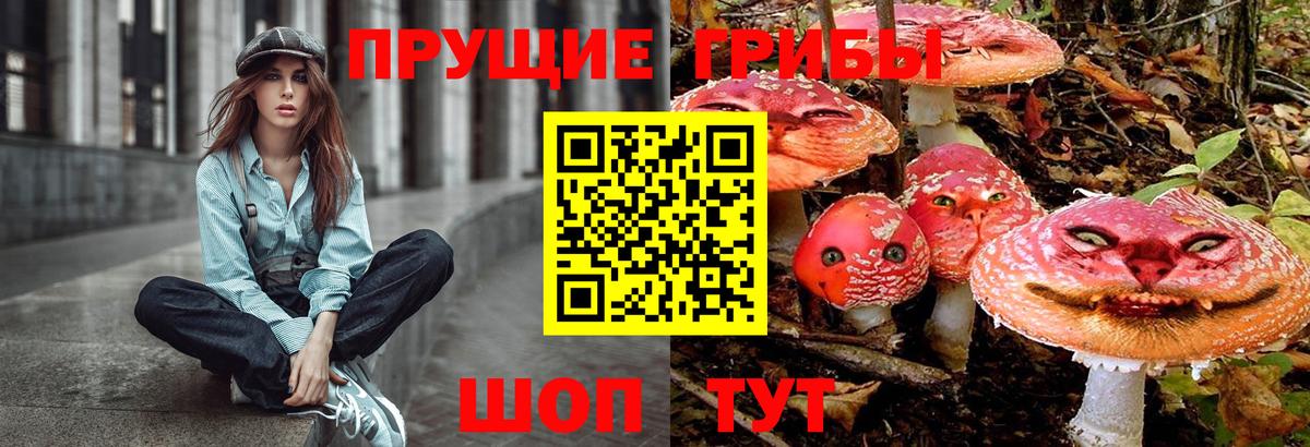 Галлюциногенные грибы Magic Shrooms  Вход с VPN  Красноярск 